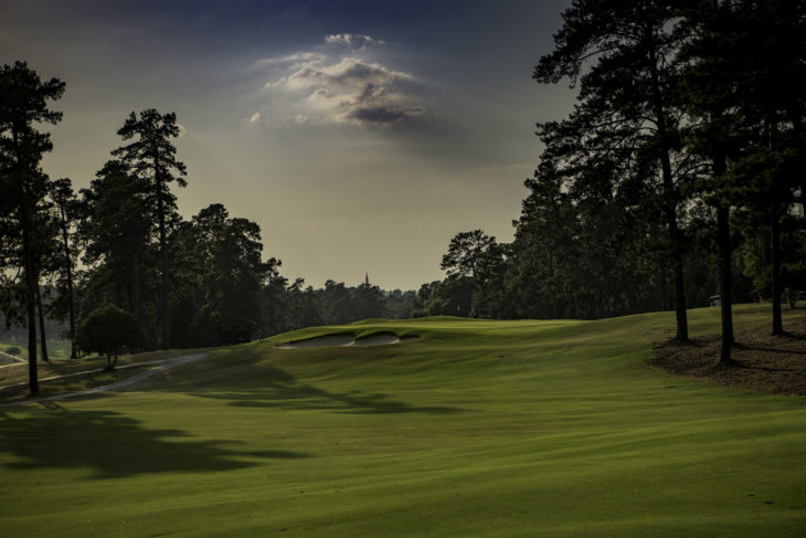 WS_ForestHills-1287-HDR